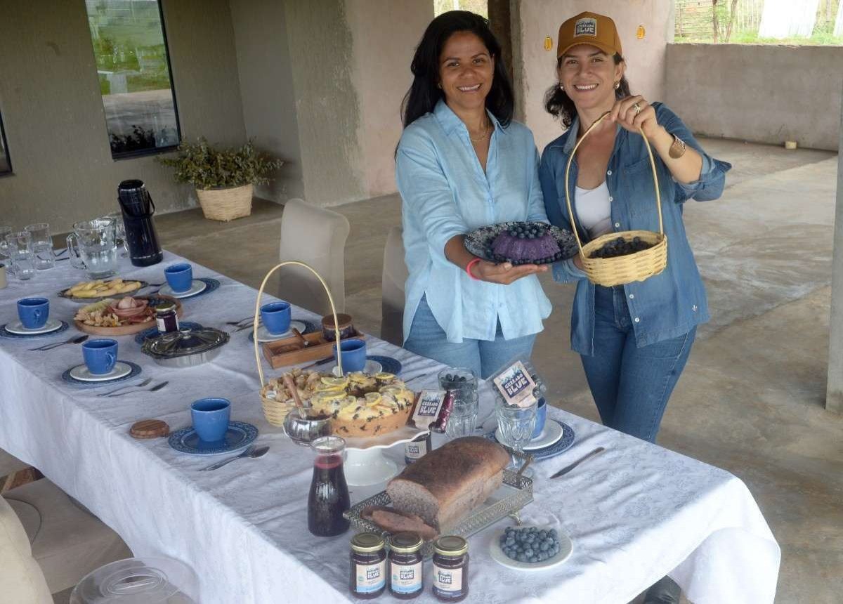  31/10/2023 Credito: Ed Alves/CB/DA.Press. Cidades. Produ&ccedil;&atilde;o de Mirtilo e os produtos com a Fruta. Produtoras - irm&atilde;s e Socias Leandra Lima (bon&eacute;) e Zuliene Lima. 