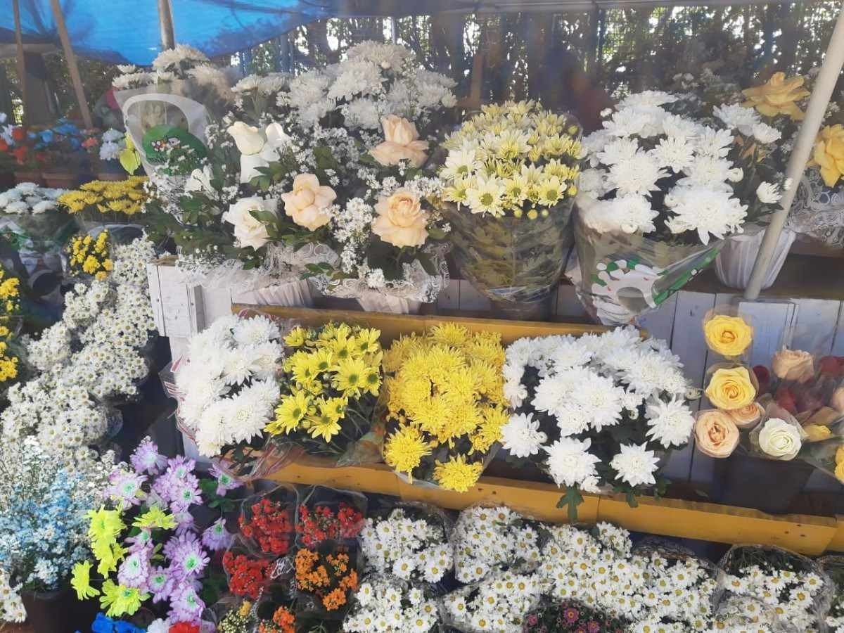 Dia de Finados: vendas de flores deve aumentar neste ano, diz Fecomércio