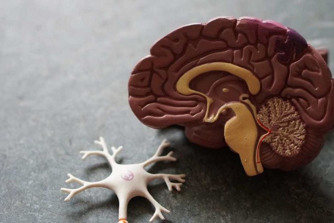 Caracterizada pela morte gradativa dos neurônios, a doença de Alzheimer pode levar décadas para manifestar os primeiros sintomas cognitivos  -  (crédito: Robina Weermeijer/Unsplash)