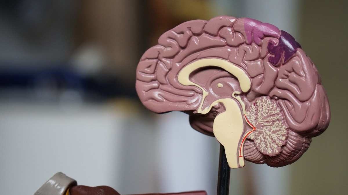 Alzheimer: estudo identifica novo marcador precoce