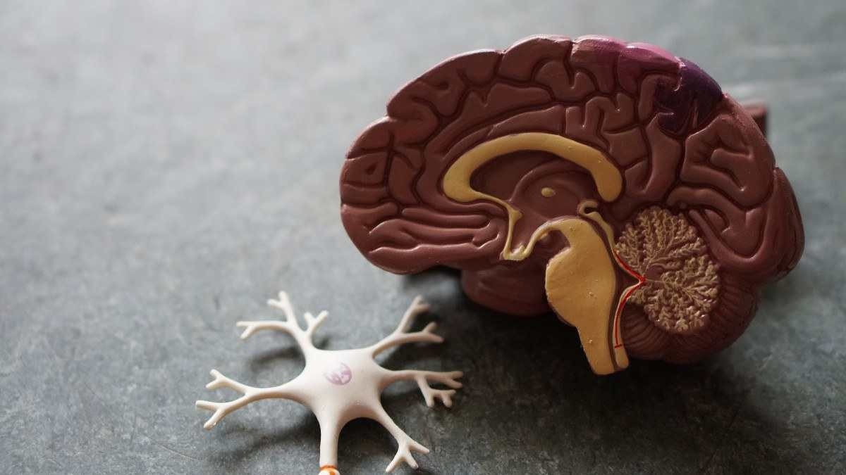 Avanço Científico: IA revela capacidade de detectar Alzheimer em estágios iniciais