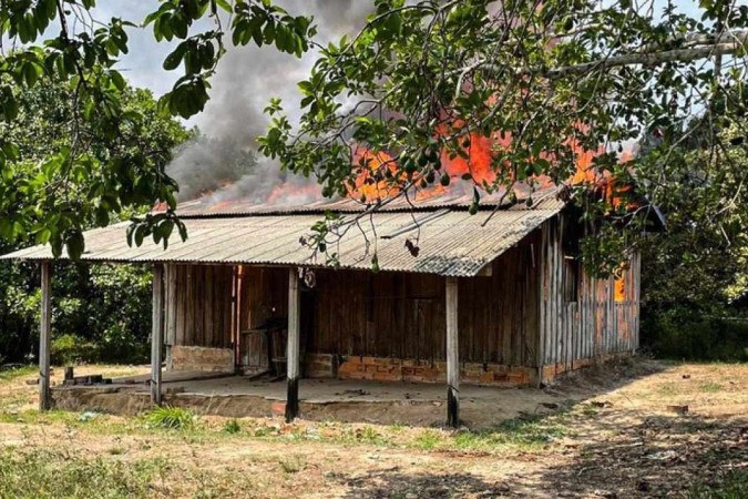 Operação em terras indígenas no Pará diminui em 95% o ritmo do desmatamento no local -  (crédito: Divulgação)