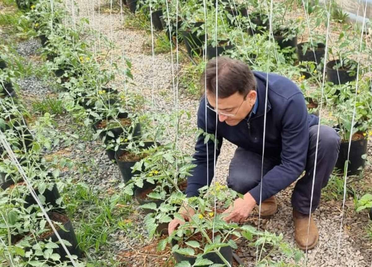 Agricultura: UnB cria fertilizante a partir de lodo de esgoto