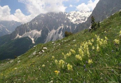 Alpes Albaneses, localizado na Albânia, foi descrito como uma 