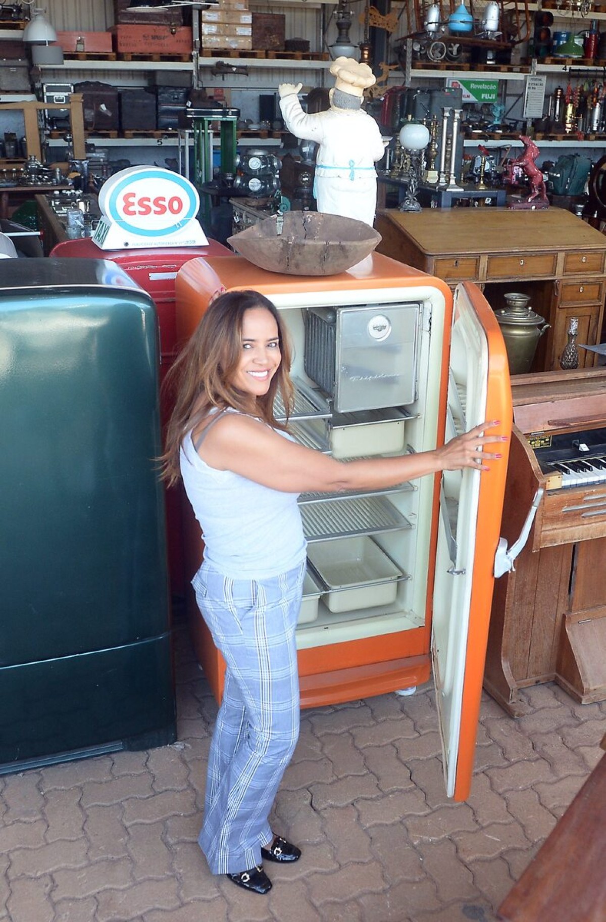 A administradora Sandra Campos procurava uma geladeira vintage para a casa