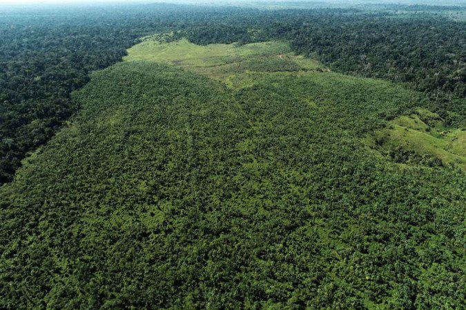 Floresta amazônica  -  (crédito: AFP)