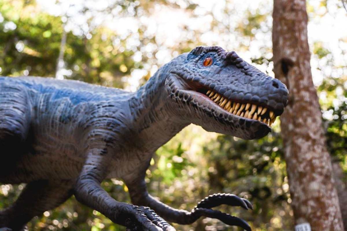 Maior parque de dinossauros do mundo recebeu mais de 350 mil visitantes