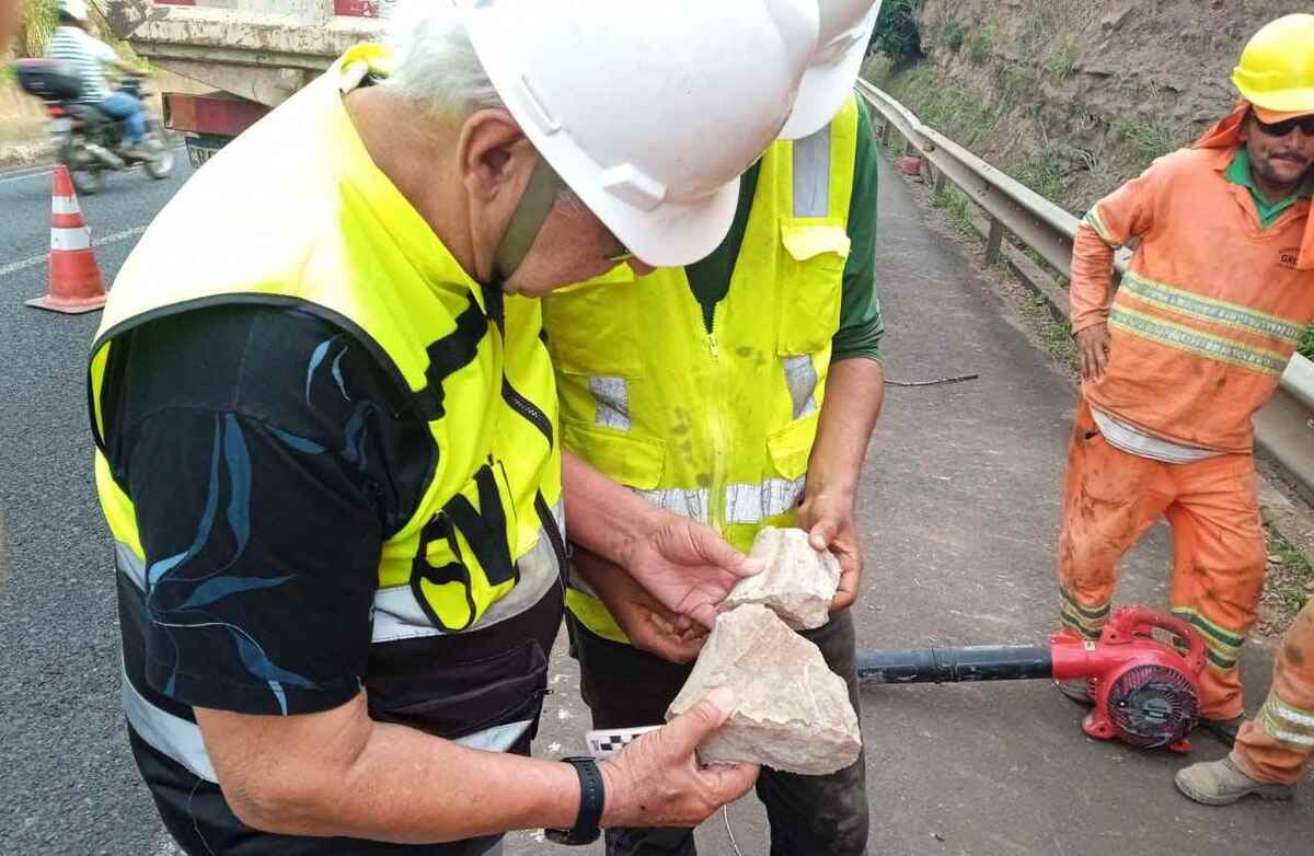 Fóssil de dinossauro é encontrado em obra de rodovia em Minas Gerais