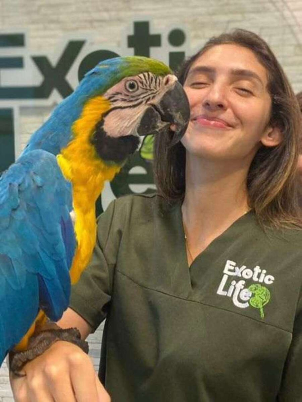 A médica veterinária Bruna Palma com uma Arara Canindé