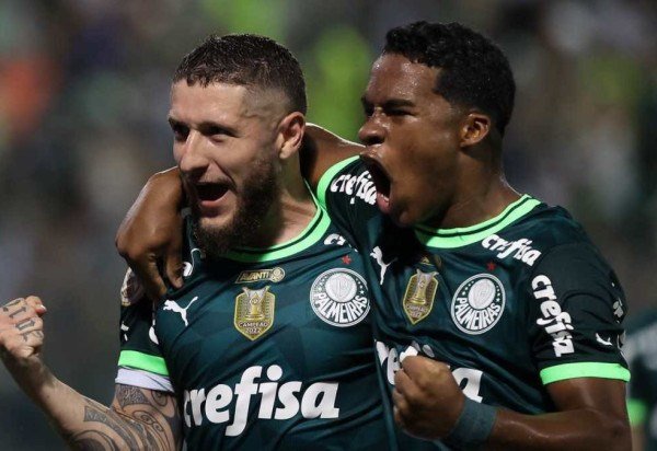 Cesar Greco/Palmeiras