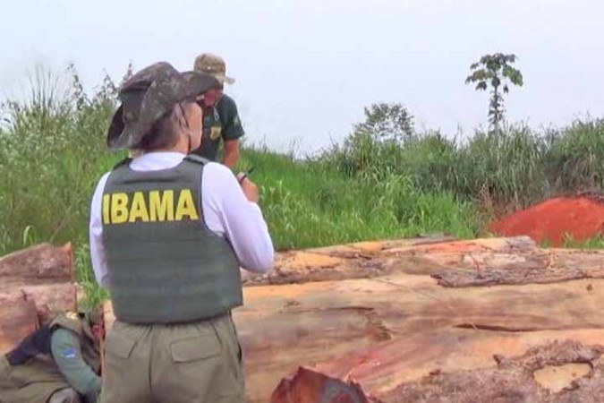 Em operação recente no sul do Amazonas, o Ibama destruiu nove madeireiras que atuavam clandestinamente na região. -  (crédito: Reprodução TV Globo)