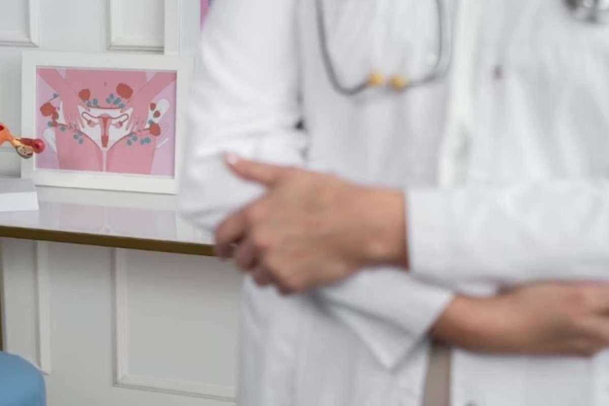 O cérebro na menopausa tem redução de áreas ligadas à memória e controle das emoções