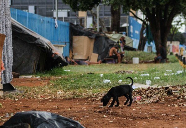 Kayo Magalhães/CB/D.A Press