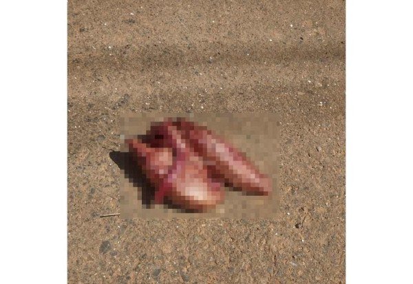 Material cedido ao Correio