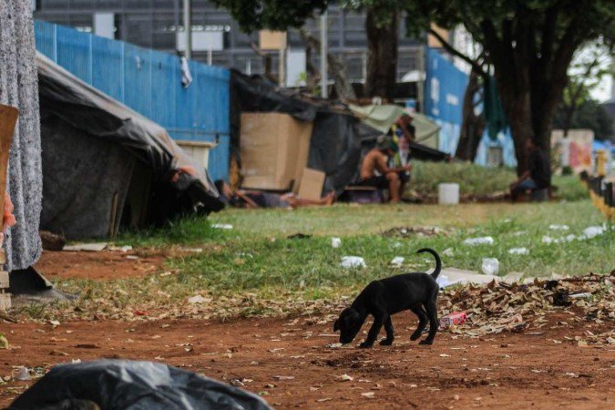 O hotel social contará com 200 vagas e ficará aberto das 19h às 8h - (crédito: Kayo Magalhães/CB/D.A Press) O hotel social contará com 200 vagas e ficará aberto das 19h às 8h - (crédito: Kayo Magalhães/CB/D.A Press)
