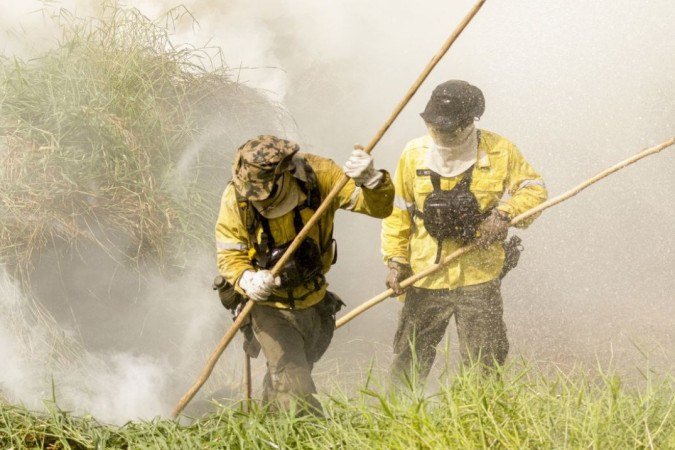 Brigadistas intensificam trabalho de combate a incêndios no Pantanal - (crédito: Agência Brasil) Brigadistas intensificam trabalho de combate a incêndios no Pantanal - (crédito: Agência Brasil)