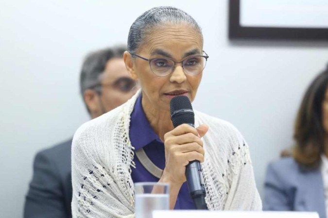 Marina participará de painel sobre transformação ecológica -  (crédito: Vinicius Loures/Câmara dos Deputados)