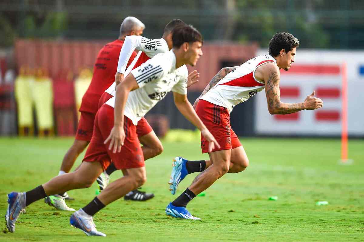 Marcelo Cortes/Flamengo