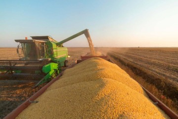 O resultado recorde da agropecuária foi puxado muito pelo crescimento de soja e milho, duas das mais importantes lavouras do Brasil, que tiveram produções recorde  -  (crédito: Reprodução/CHB Agro)