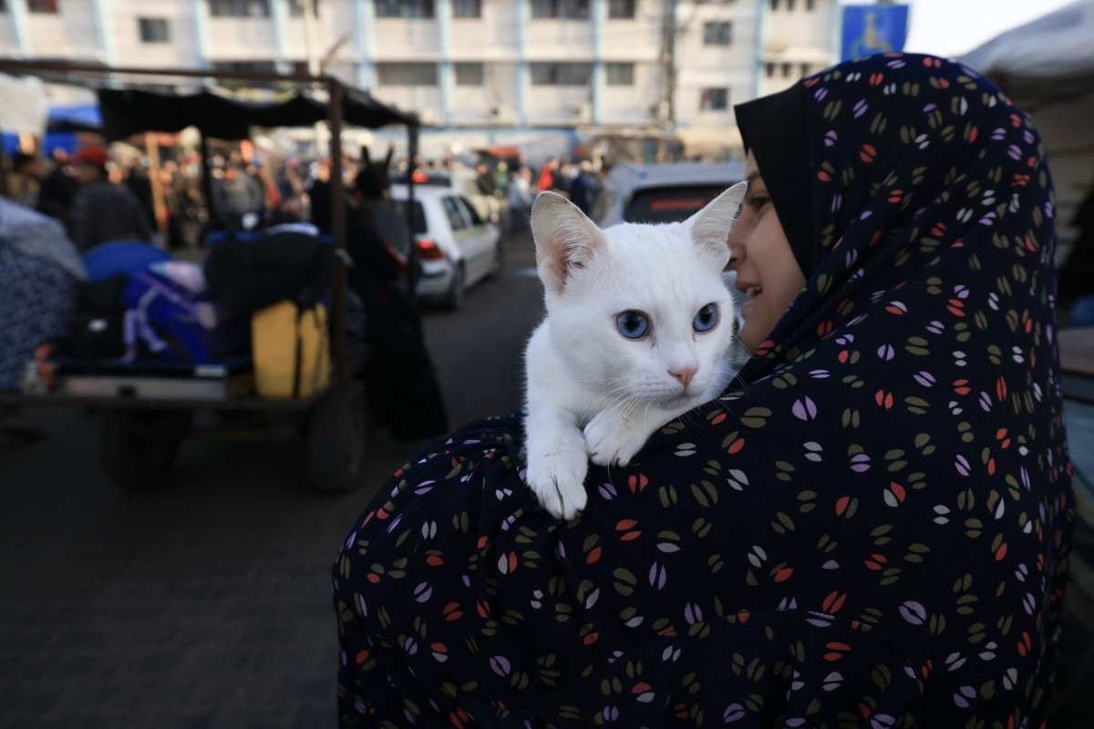 Uma mulher carrega seu gato enquanto palestinos que se refugiaram em abrigos temporários no leste de Khan Yunis, no sul da Faixa de Gaza,  retornam para suas casas