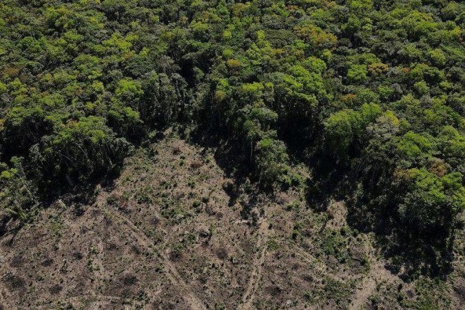 Estudo de Oxford projeta que Brasil vai desmatar 64 milhões de hectares até 2050 - (crédito: Reuters) Estudo de Oxford projeta que Brasil vai desmatar 64 milhões de hectares até 2050 - (crédito: Reuters)