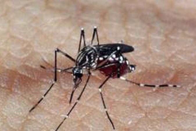 Entre os sintomas de alerta da doença, estão: febre, manchas vermelhas pelo corpo, dor abdominal, vômito persistente - (crédito: Agência Brasil) Entre os sintomas de alerta da doença, estão: febre, manchas vermelhas pelo corpo, dor abdominal, vômito persistente - (crédito: Agência Brasil)