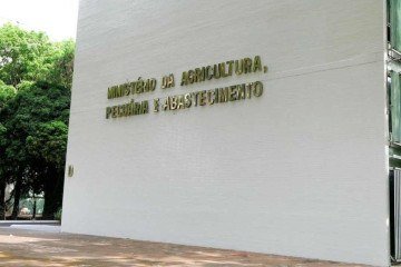 Os candidatos do processo seletivo do Ministério da Agricultura serão avaliados por análise curricular -  (crédito: Reprodução/Roque de Sá/Agência Senado)