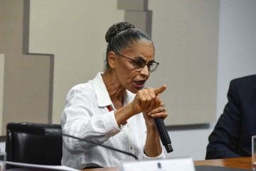 Ministra Marina Silva na CPI das ONGs -  (crédito: Roque de Sá/Agência Senado)
