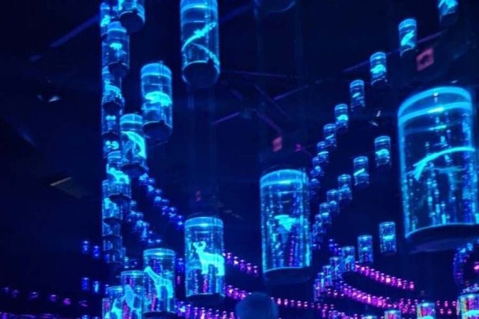 A sala do DNA, com 2,4 mil amostras, impressiona
