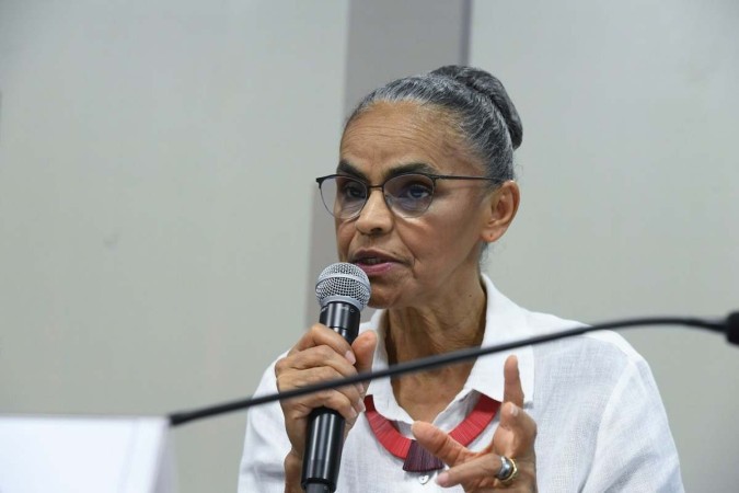 A ministra também citou que para a Amazônia ter um bom caminho para o desenvolvimento econômico, social e cultural é preciso que a economia seja diversificada -  (crédito: Marcos Oliveira/Agência Senado)