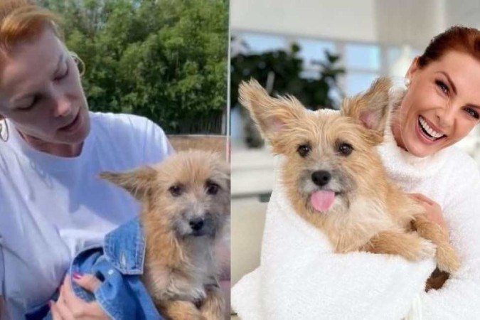 Ana Hickmann e o vira-lata Joaquim - (crédito: Reprodução Instagram) Ana Hickmann e o vira-lata Joaquim - (crédito: Reprodução Instagram)