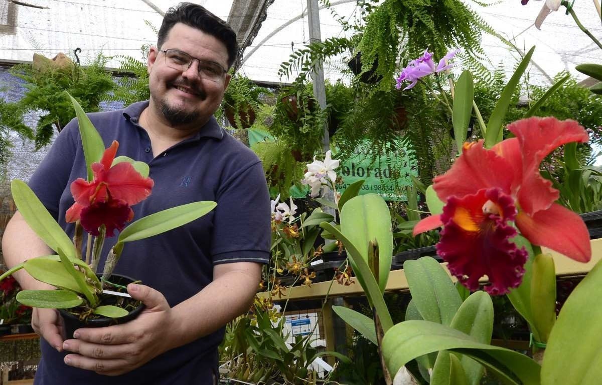 Flores movimentam o campo e a economia do Distrito Federal