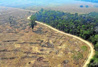 Cerrado, Amazônia e Pantanal foram alguns dos biomas afetados -  (crédito: Carlos Fabal/AFP)