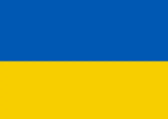 A invasão da Ucrânia fez com que a bandeira do país ganhasse protagonismo no noticiário.  O azul representa o céu e o amarelo remete ao trigo cultivado nas estepes.   -  (crédito: Divulgação)