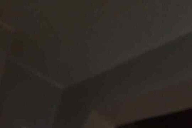 Sunny era uma parte muito importante da vida da arquiteta Isabela