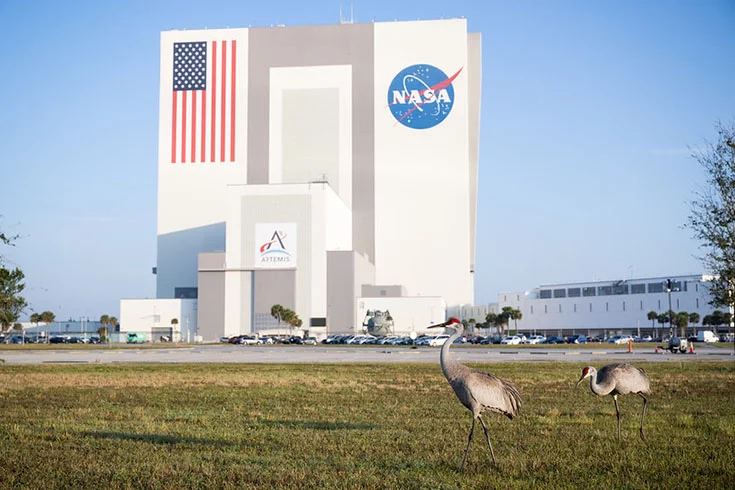 A agência Espacial dos EUA, mais conhecida como NASA, está com uma novidade que promete aguçar ainda mais a curiosidade de quem gosta de explorar o universo. -  (crédito: - Divulgação NASA)