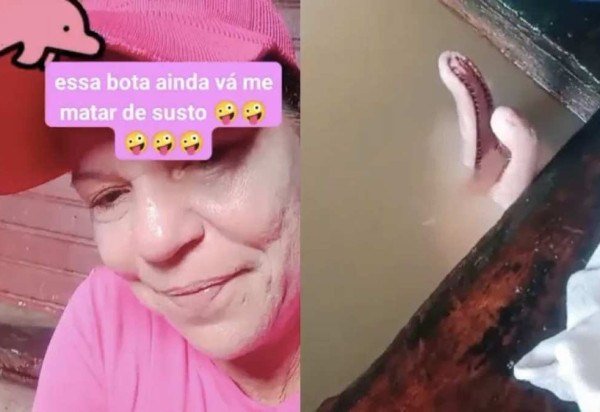 Reprodução Instagram