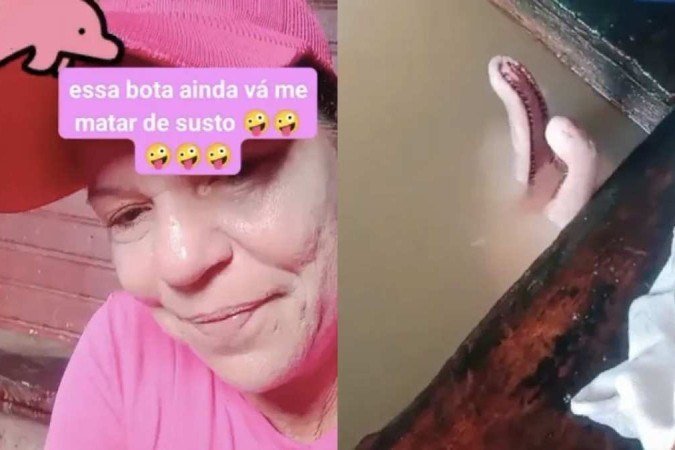 Boto-cor-de-rosa invadiu a casa de uma ribeirinha no Amazonas -  (crédito: Reprodução Instagram)