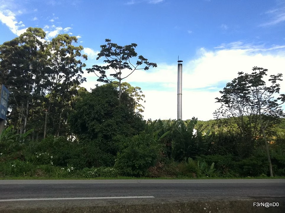 O dono de uma plantação em Itapema (SC) - cidade a 67 km da capital Florianópolis - viralizou com sua mensagem bem humorada para um ladrão de bananas.  -  (crédito: Fernando Santos wikimedia commons )