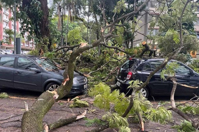 Na 103 Sul, uma árvore de grande porte caiu sobre dois carros - (crédito: Material cedido ao Correio) Na 103 Sul, uma árvore de grande porte caiu sobre dois carros - (crédito: Material cedido ao Correio)