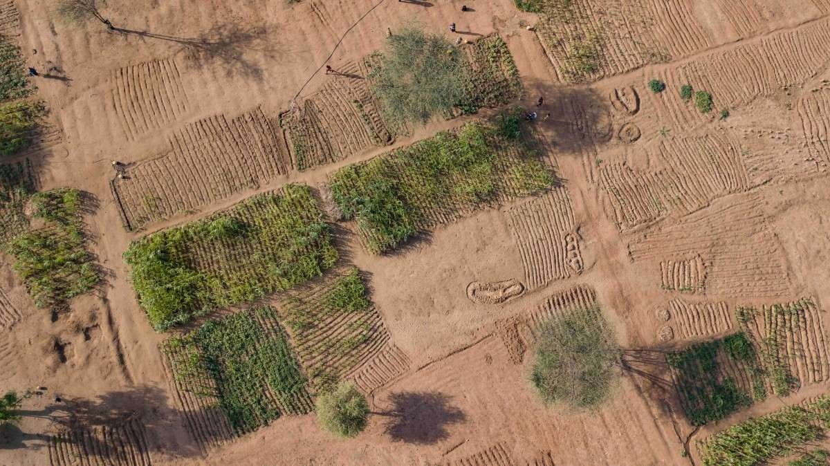 Emergência sem precedentes, seca é uma catástrofe silenciosa 