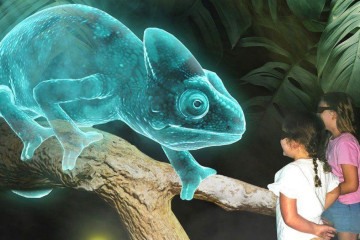 O Zoológico dos Hologramas de Brisbane, na Austrália, apresenta 50 criaturas diferentes aos seus visitantes -  (crédito: Zoológico dos Hologramas)