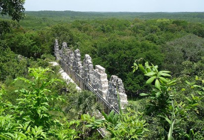 Os arqueólogos caminharam por aproximadamente 60 quilômetros nas fechadas florestas da Península de Yucatán, no sul do México. O esforço da equipe foi recompensado já que descobriram uma cidade dos Maias, da qual não havia referências anteriores  -  (crédito: - PXFuel creative commons)