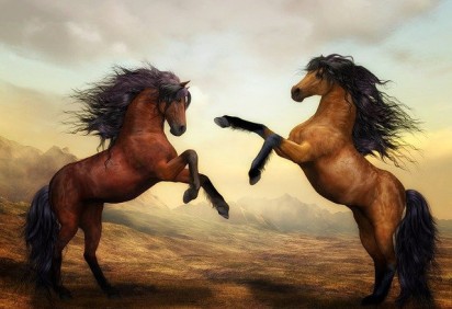 Seja para transporte, passeio ou esporte, o cavalo é um animal que sempre foi aliado dos homens. -  (crédito: Susann Mielke pixabay)