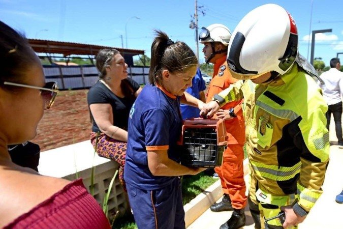Moradores resgatam seus pets após a explosão - (crédito: Marcelo Ferreira/CB/D.A Press) Moradores resgatam seus pets após a explosão - (crédito: Marcelo Ferreira/CB/D.A Press)