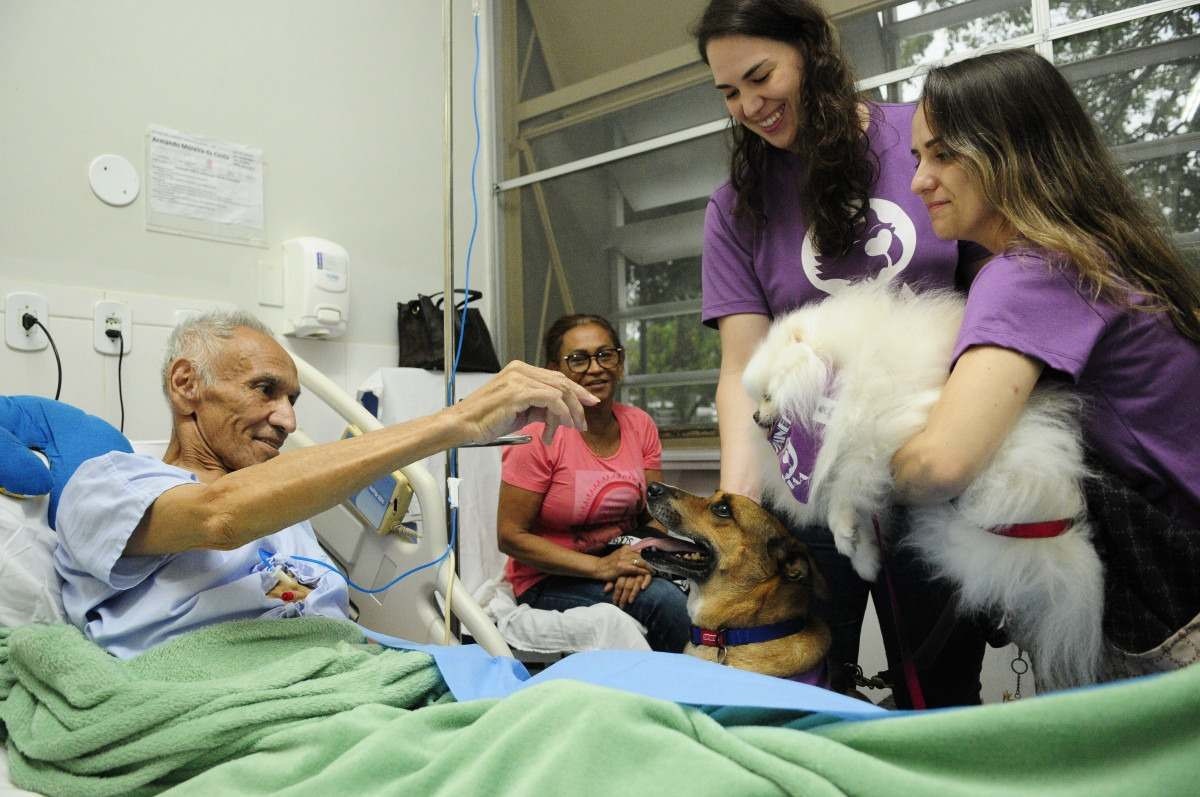 Pets voluntários doam afeto a pacientes internados em hospitais