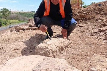 Materiais, que supostamente pertencem a um titanossauro, serão entregues para estudos ao Museu dos Dinossauros da Universidade Federal do Triângulo Mineiro (UFTM) -  (crédito: Divulgação/Geopac)