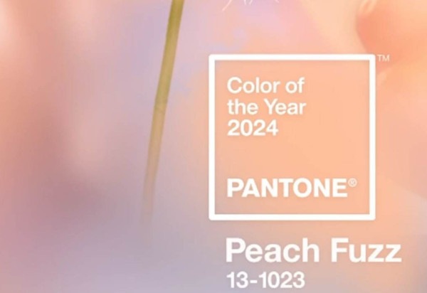 Reprodução/ Instagram/ pantone