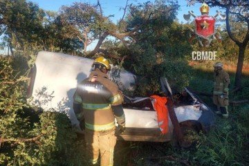 O veículo parou ao bater em uma árvore -  (crédito: CBMDF)