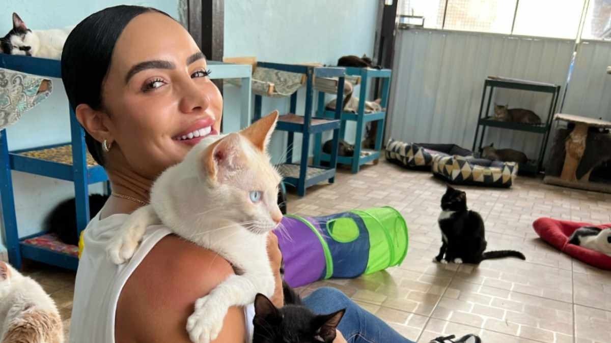 Aline Mineiro faz doação a bazar beneficente em prol de gatos abandonados